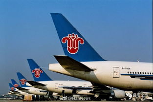 襄陽青年請(qǐng)注意 南方航空招飛啟動(dòng)，翱翔藍(lán)天夢(mèng)想觸手可及